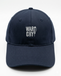 THE AIRFORCE CAP