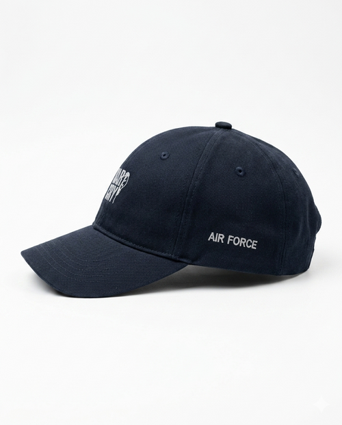 THE AIRFORCE CAP
